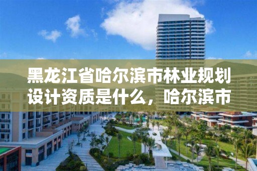 黑龙江省哈尔滨市林业规划设计资质是什么,哈尔滨市林业设计院