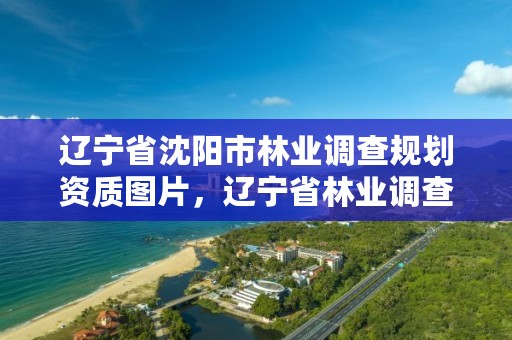 辽宁省沈阳市林业调查规划资质图片，辽宁省林业调查规划院