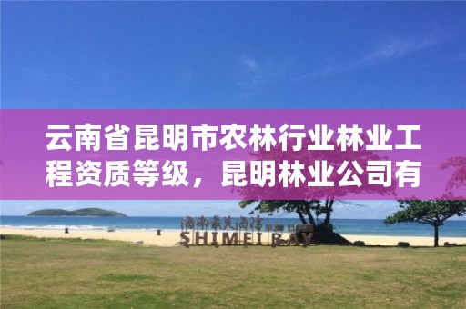 云南省昆明市农林行业林业工程资质等级，昆明林业公司有哪些