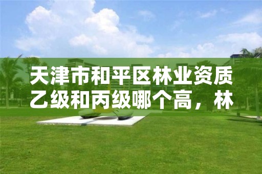 天津市和平区林业资质乙级和丙级哪个高，林业甲级资质