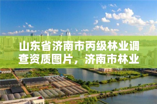 山东省济南市丙级林业调查资质图片，济南市林业局官网