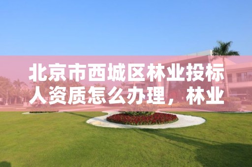 北京市西城区林业投标人资质怎么办理，林业局投标工程哪里决定中标