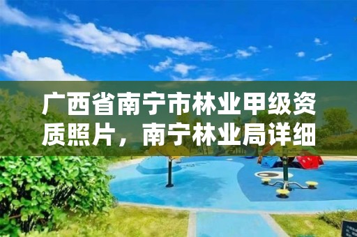 广西省南宁市林业甲级资质照片,南宁林业局详细地址