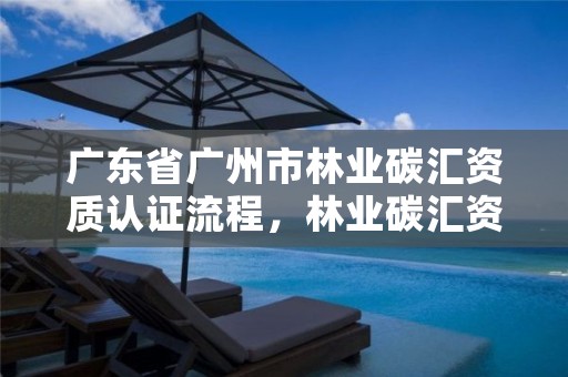 广东省广州市林业碳汇资质认证流程，林业碳汇资产管理公司