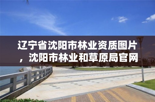 辽宁省沈阳市林业资质图片，沈阳市林业和草原局官网