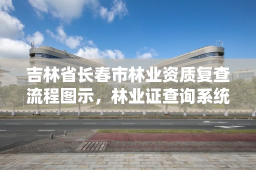 吉林省长春市林业资质复查流程图示，林业证查询系统