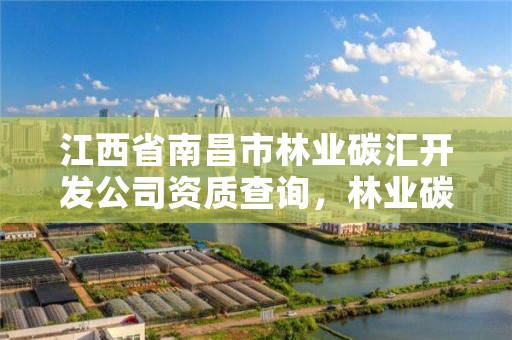 江西省南昌市林业碳汇开发公司资质查询，林业碳汇公司有哪几家