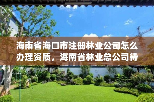 海南省海口市注册林业公司怎么办理资质,海南省林业总公司待遇