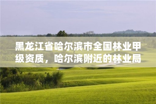 黑龙江省哈尔滨市全国林业甲级资质,哈尔滨附近的林业局