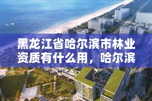 黑龙江省哈尔滨市林业资质有什么用，哈尔滨林业公司