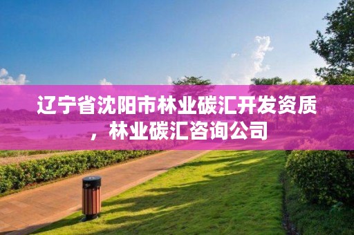 辽宁省沈阳市林业碳汇开发资质，林业碳汇咨询公司