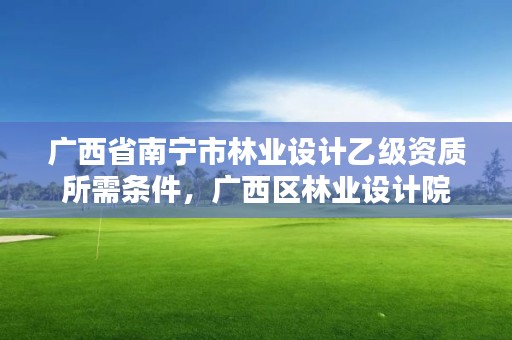 广西省南宁市林业设计乙级资质所需条件，广西区林业设计院
