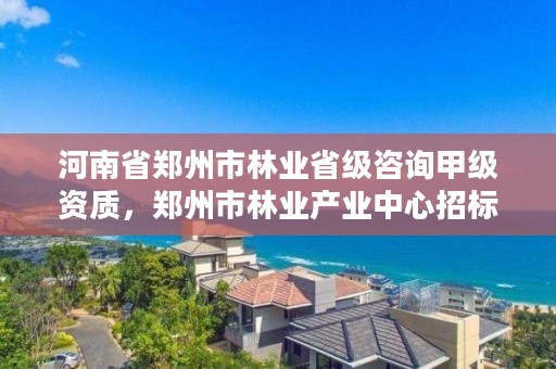 河南省郑州市林业省级咨询甲级资质，郑州市林业产业中心招标
