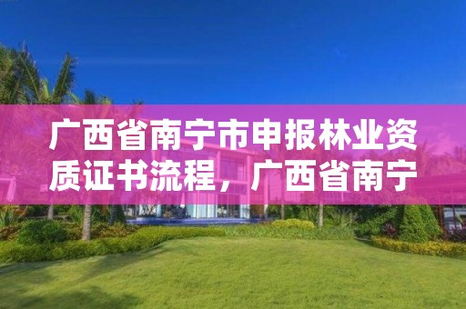 广西省南宁市申报林业资质证书流程，广西省南宁市申报林业资质证书流程图