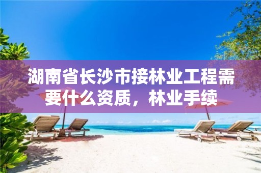 湖南省长沙市接林业工程需要什么资质，林业手续