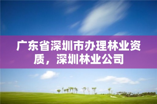 广东省深圳市办理林业资质，深圳林业公司