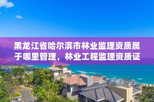 黑龙江省哈尔滨市林业监理资质属于哪里管理，林业工程监理资质证书