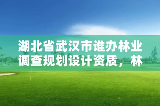 湖北省武汉市谁办林业调查规划设计资质，林业调查规划资质怎么办理