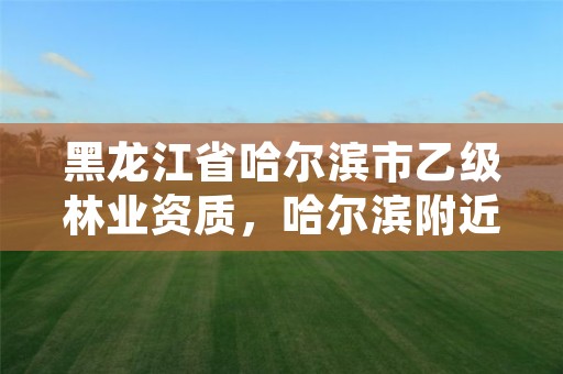 黑龙江省哈尔滨市乙级林业资质,哈尔滨附近的林业局