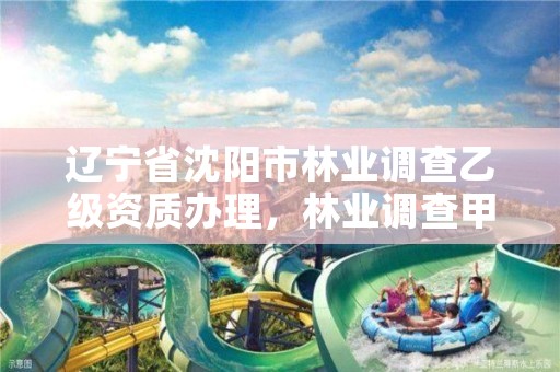 辽宁省沈阳市林业调查乙级资质办理，林业调查甲级资质