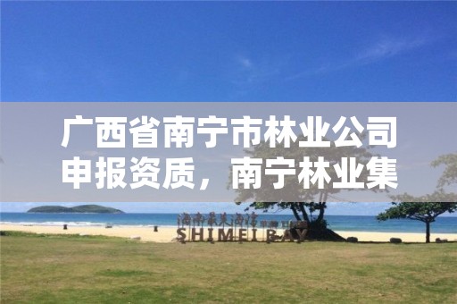 广西省南宁市林业公司申报资质，南宁林业集团地址