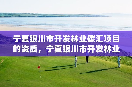 宁夏银川市开发林业碳汇项目的资质,宁夏银川市开发林业碳汇项目的资质是什么