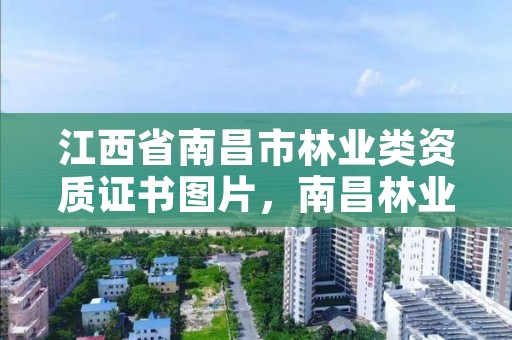 江西省南昌市林业类资质证书图片，南昌林业厅
