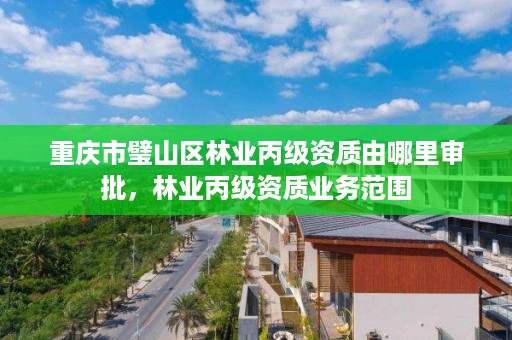 重庆市璧山区林业丙级资质由哪里审批，林业丙级资质业务范围