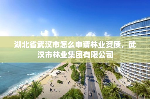 湖北省武汉市怎么申请林业资质，武汉市林业集团有限公司
