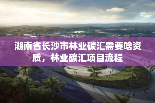 湖南省长沙市林业碳汇需要啥资质，林业碳汇项目流程