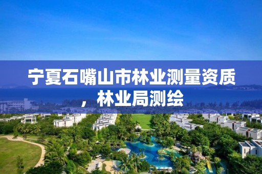 宁夏石嘴山市林业测量资质，林业局测绘