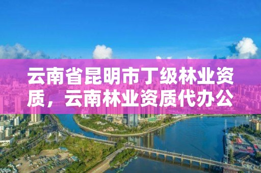 云南省昆明市丁级林业资质，云南林业资质代办公司