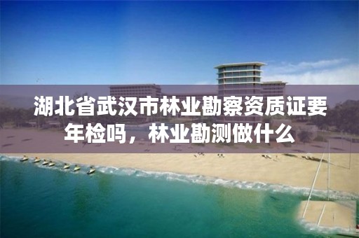 湖北省武汉市林业勘察资质证要年检吗，林业勘测做什么