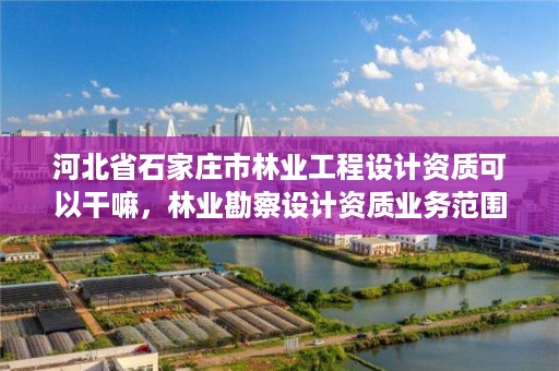 河北省石家庄市林业工程设计资质可以干嘛，林业勘察设计资质业务范围