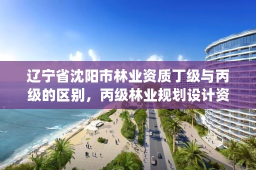 辽宁省沈阳市林业资质丁级与丙级的区别,丙级林业规划设计资质