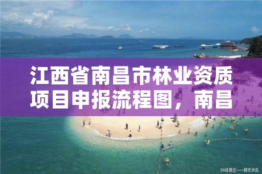 江西省南昌市林业资质项目申报流程图，南昌市林业综合服务中心