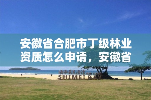 安徽省合肥市丁级林业资质怎么申请，安徽省林业高级工程师职称评定条件