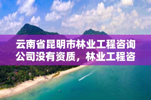 云南省昆明市林业工程咨询公司没有资质，林业工程咨询有限公司