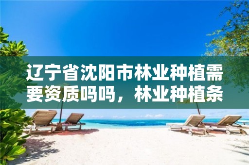 辽宁省沈阳市林业种植需要资质吗吗,林业种植条件