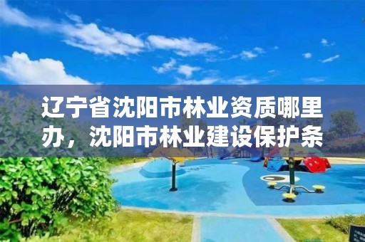 辽宁省沈阳市林业资质哪里办，沈阳市林业建设保护条例