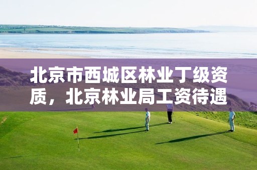 北京市西城区林业丁级资质，北京林业局工资待遇怎么样