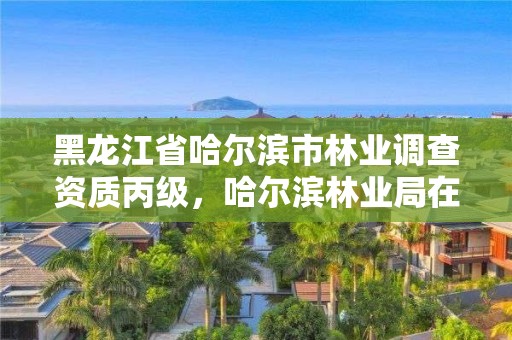 黑龙江省哈尔滨市林业调查资质丙级，哈尔滨林业局在哪