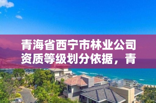 青海省西宁市林业公司资质等级划分依据,青海省林业工程咨询有限公司