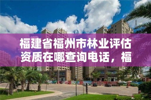 福建省福州市林业评估资质在哪查询电话，福建省福州市林业评估资质在哪查询电话号码