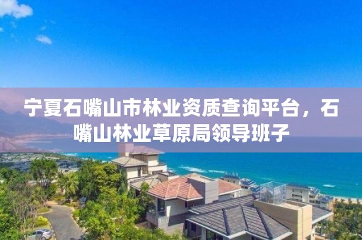 宁夏石嘴山市林业资质查询平台,石嘴山林业草原局领导班子