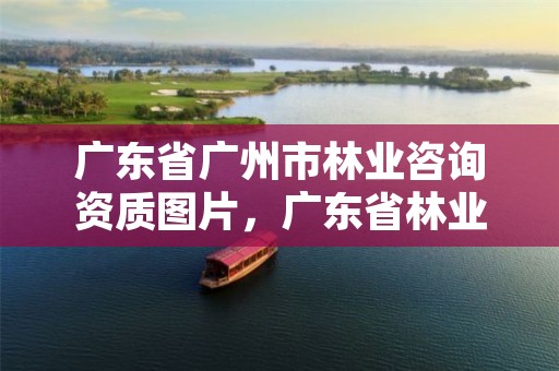 广东省广州市林业咨询资质图片，广东省林业局咨询电话