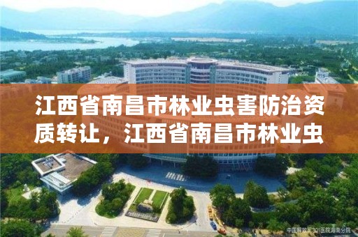 江西省南昌市林业虫害防治资质转让，江西省南昌市林业虫害防治资质转让公司名单