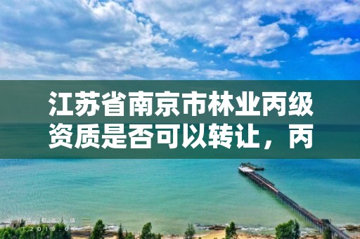 江苏省南京市林业丙级资质是否可以转让，丙级林业规划设计资质