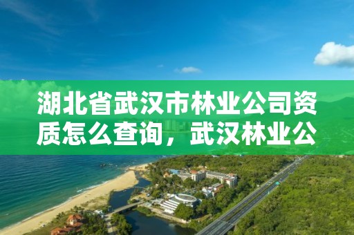 湖北省武汉市林业公司资质怎么查询，武汉林业公司有哪些