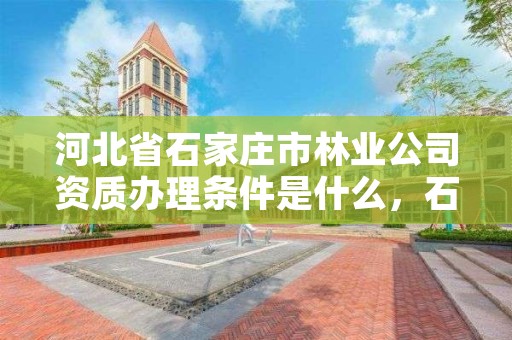 河北省石家庄市林业公司资质办理条件是什么，石家庄林业局招标公告